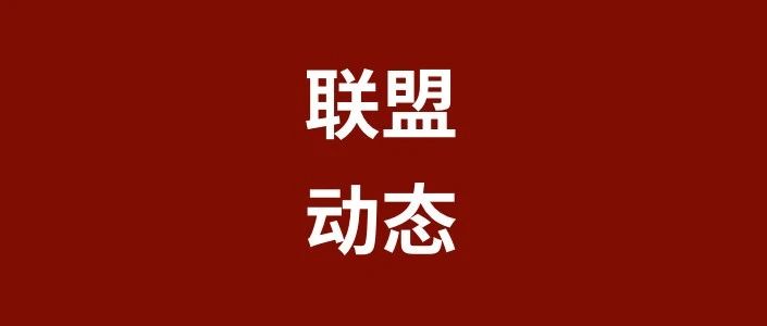 中国税务律师联盟组织天使盟员开展“《民法典》涉税问题课题研究”活动